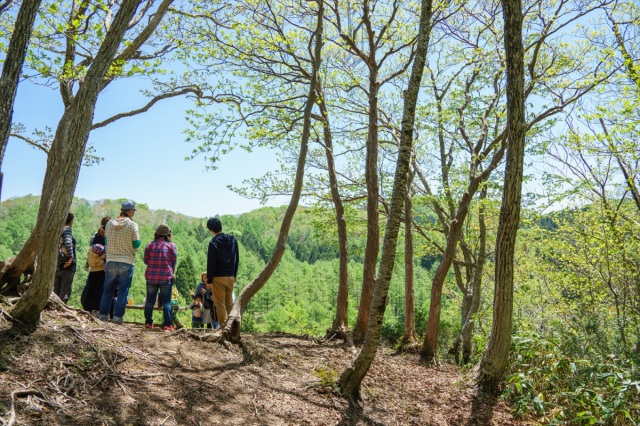 【2026年】GWにおすすめ!新緑が美しい岡山の森林浴&ハイキングスポット5選
